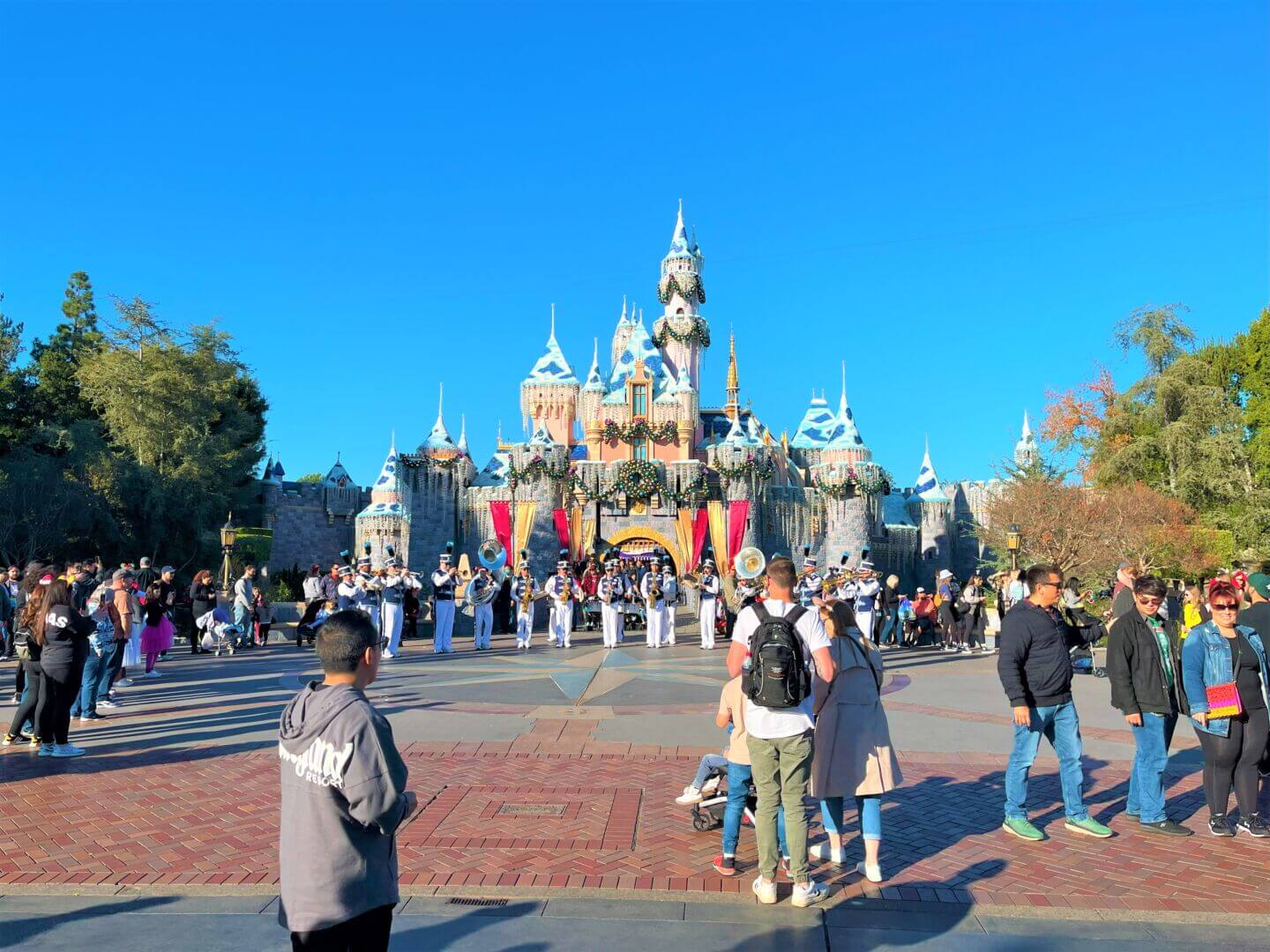 Sleeping Beauty Castle