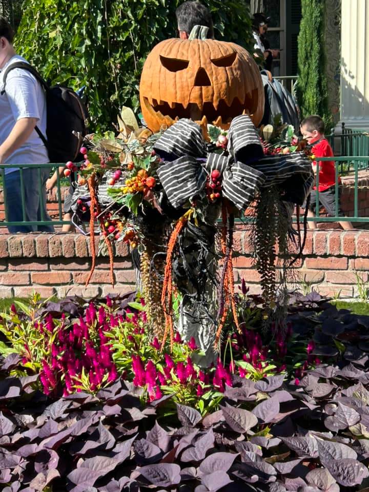 Haunted Mansion, MiceShots: A Photographic Journey through Disneyland’s Haunted Mansion