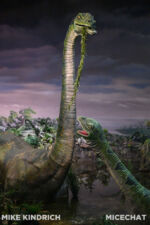 Primeval World (1 of 1)-4