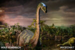 Primeval World (1 of 1)-5