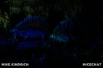 Primeval World (1 of 1)-7