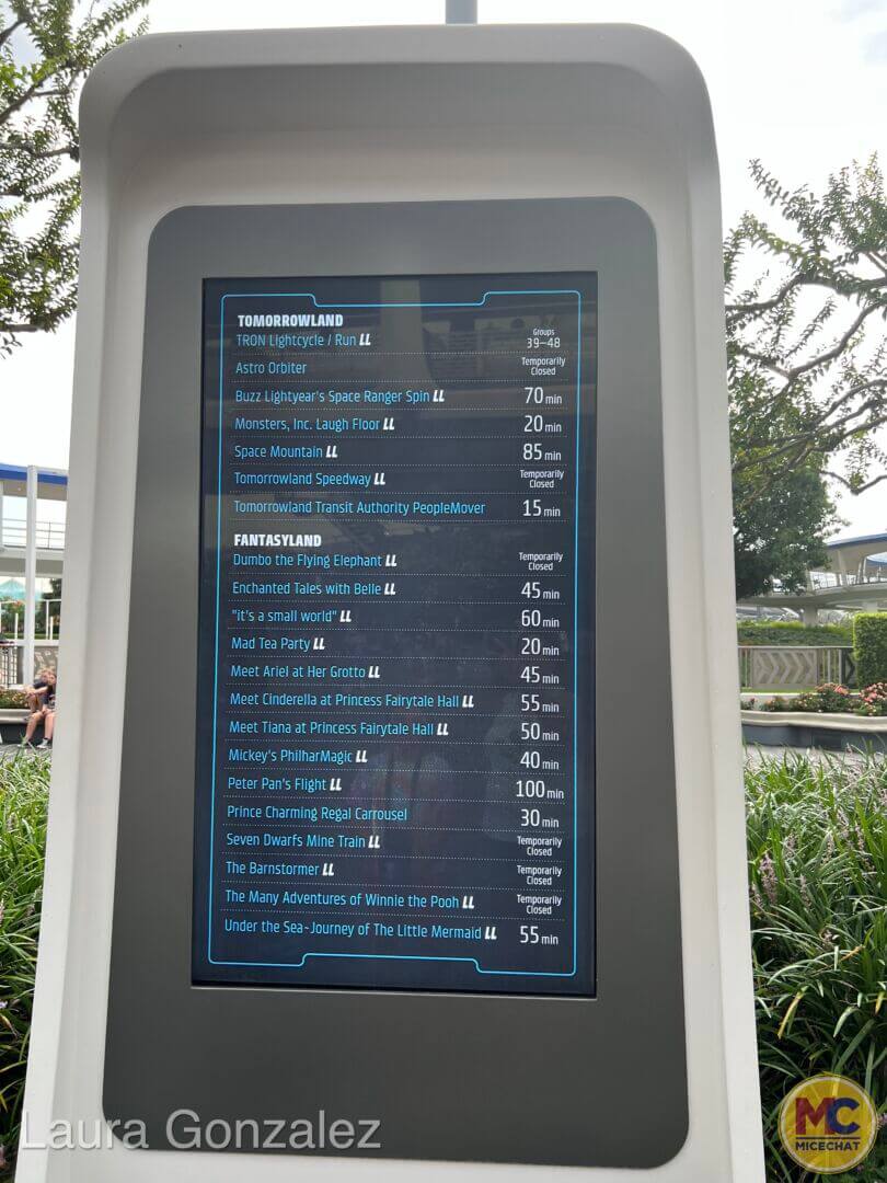 Rope Drop, Rope Drop Rundown: A Marvelous Morning at Magic Kingdom