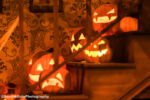 051_Knott’s Scary Farm 50_Legacy Haunt Store and Museum