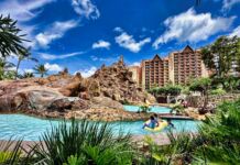 Island Magic: Aulani Through the MiceShots Lens