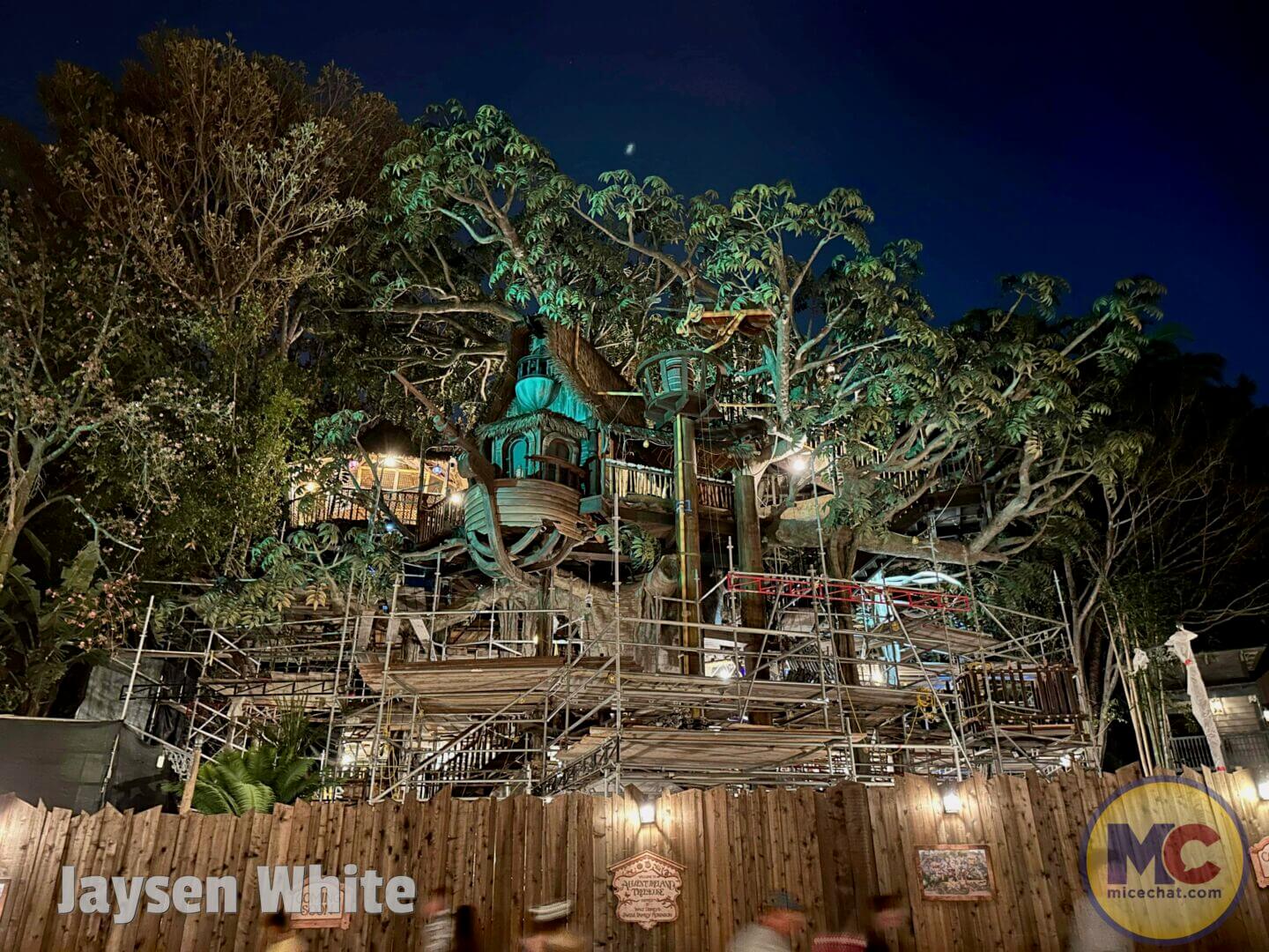 Adventureland Treehouse, Disneyland’s Adventureland Treehouse: The Return of a Classic!