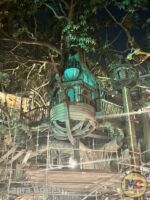 Disneyland Adventureland Treehouse Water Tower