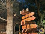 Disneyland News Beauty Spider Web Grizzly River Run MiceChat