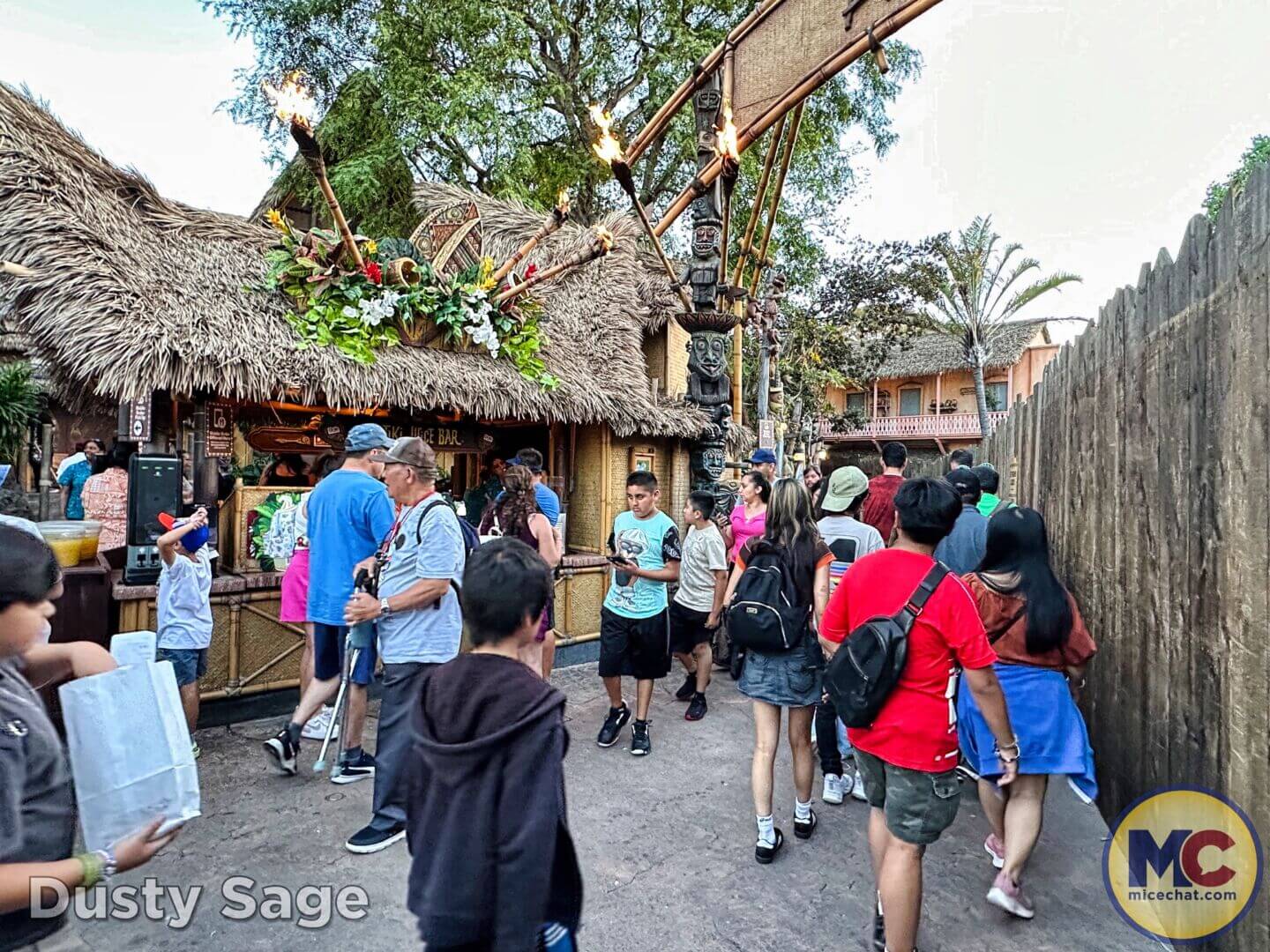 , Disneyland Update – Crowd Crush, Pipes Pop & Holiday Happenings!