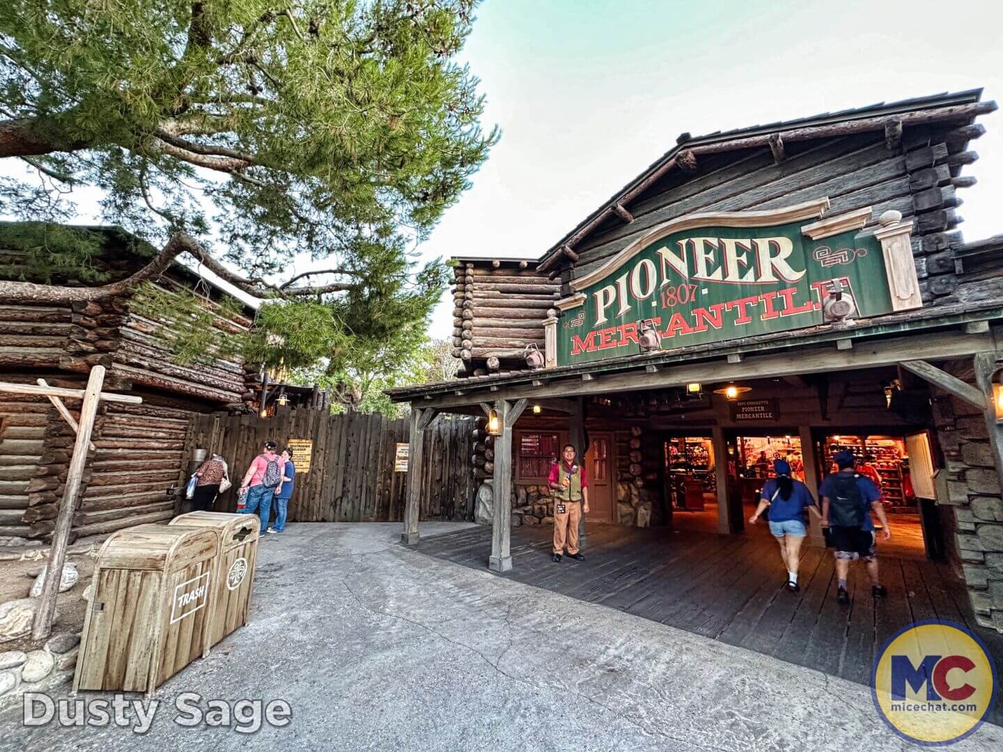 , Disneyland Update – Crowd Crush, Pipes Pop & Holiday Happenings!