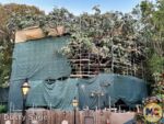 Disneyland News Construction Adventureland Treehouse 2 MiceChat