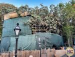 Disneyland News Construction Adventureland Treehouse distant 1 MiceChat