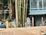 Disneyland News Construction Adventureland Treehousestatue MiceChat