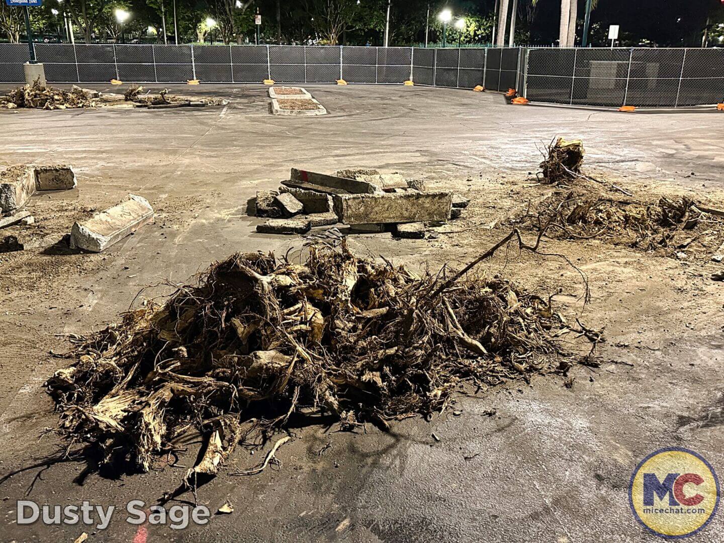 , Disneyland Update – Crowd Crush, Pipes Pop & Holiday Happenings!