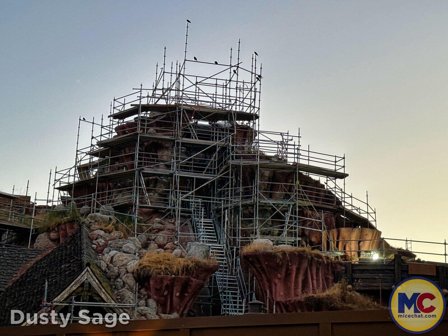 , Disneyland Update – Crowd Crush, Pipes Pop & Holiday Happenings!