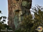 Disneyland News Star Wars Rock Face MiceChat