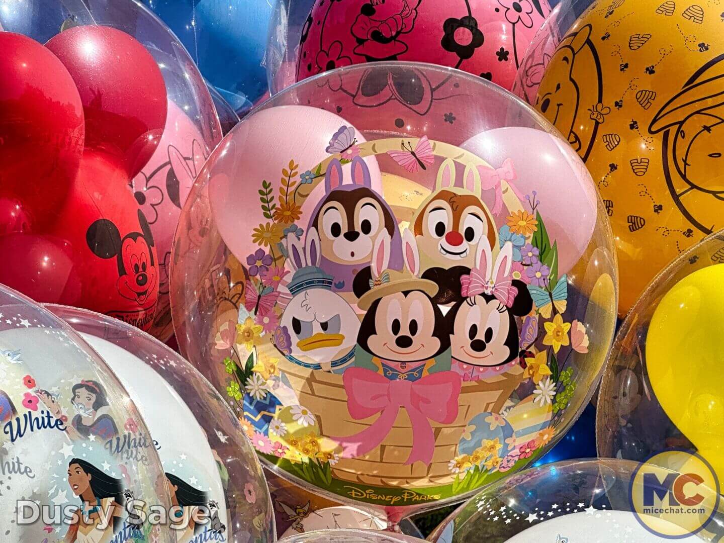 , DISNEYLAND UPDATE: Balancing Magic with Reality – Spring Surprises & Disappointments