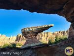 Disneyland News beauty cars land MiceChat