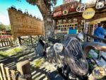 Disneyland News cars land halloween curios 1 MiceChat