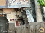 Disneyland News construction adventureland bathrooms waterfalls MiceChat