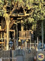 Disneyland News construction adventureland treehouse platform 2 MiceChat