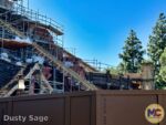 Disneyland News construction tianas Bayou Adventure 3 MiceChat