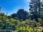 Disneyland News construction tianas Bayou Adventure thicket MiceChat