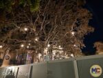 Disneyland News construction tianas palace tree night MiceChat