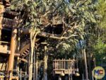 Disneyland News cosntruction adventureland treehouse platform MiceChat