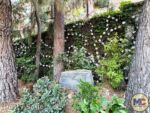 Disneyland News halloween redwood creek roses 1 MiceChat