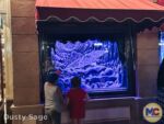 Disneyland News this and that emporium windows fixed 2 MiceChat
