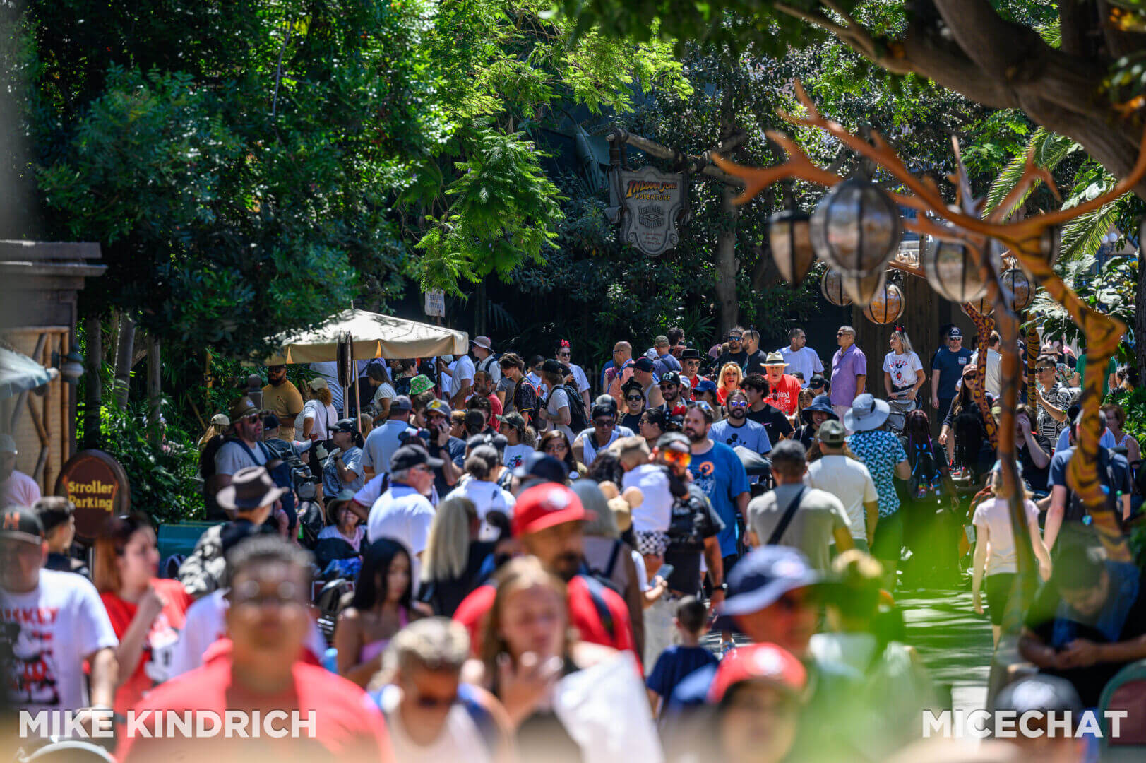 , Disneyland Update – Crowd Crush, Pipes Pop & Holiday Happenings!