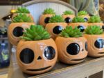 Halloween Horror Nights merchandise pumpkin planter