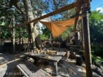Swiss Family Treehouse – Dining Room – Photo by Samantha Davis-Friedman