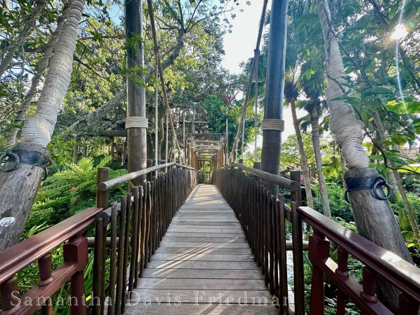 Swiss Family Treehouse