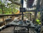 Swiss Family Treehouse – Library – Photo by Samantha Davis-Friedman