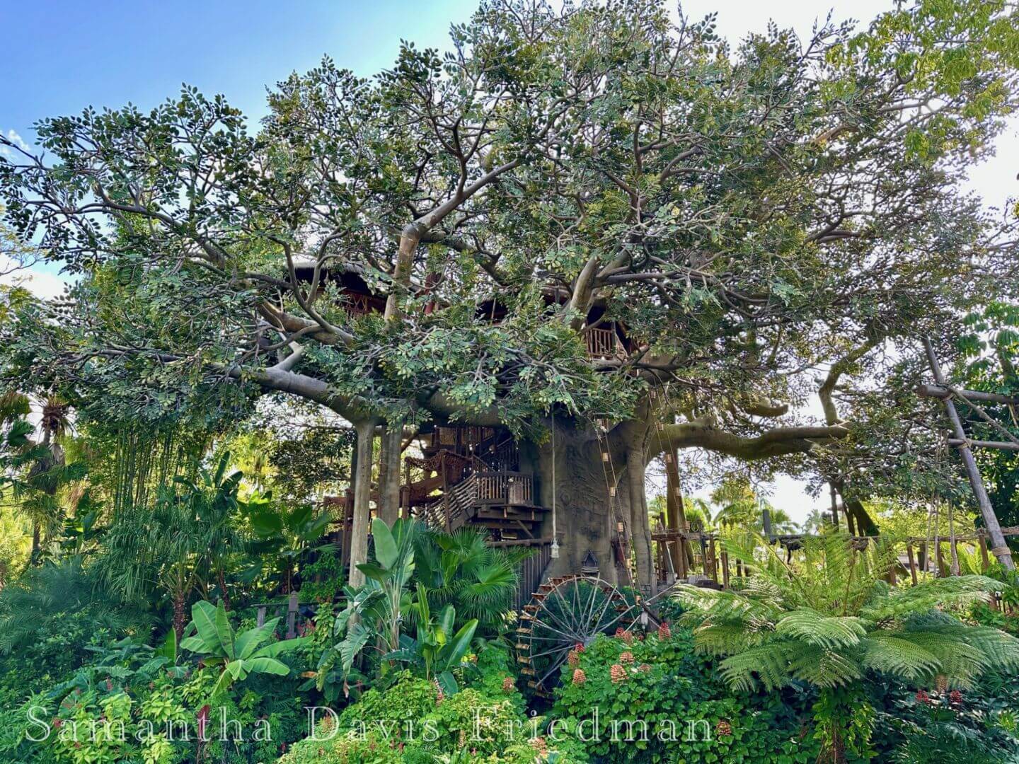 Swiss Family Treehouse at Magic Kingdom