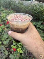 disneyland disney california adventure festival of holidays christmas 2023 peppermint mocha cold brew MiceChat