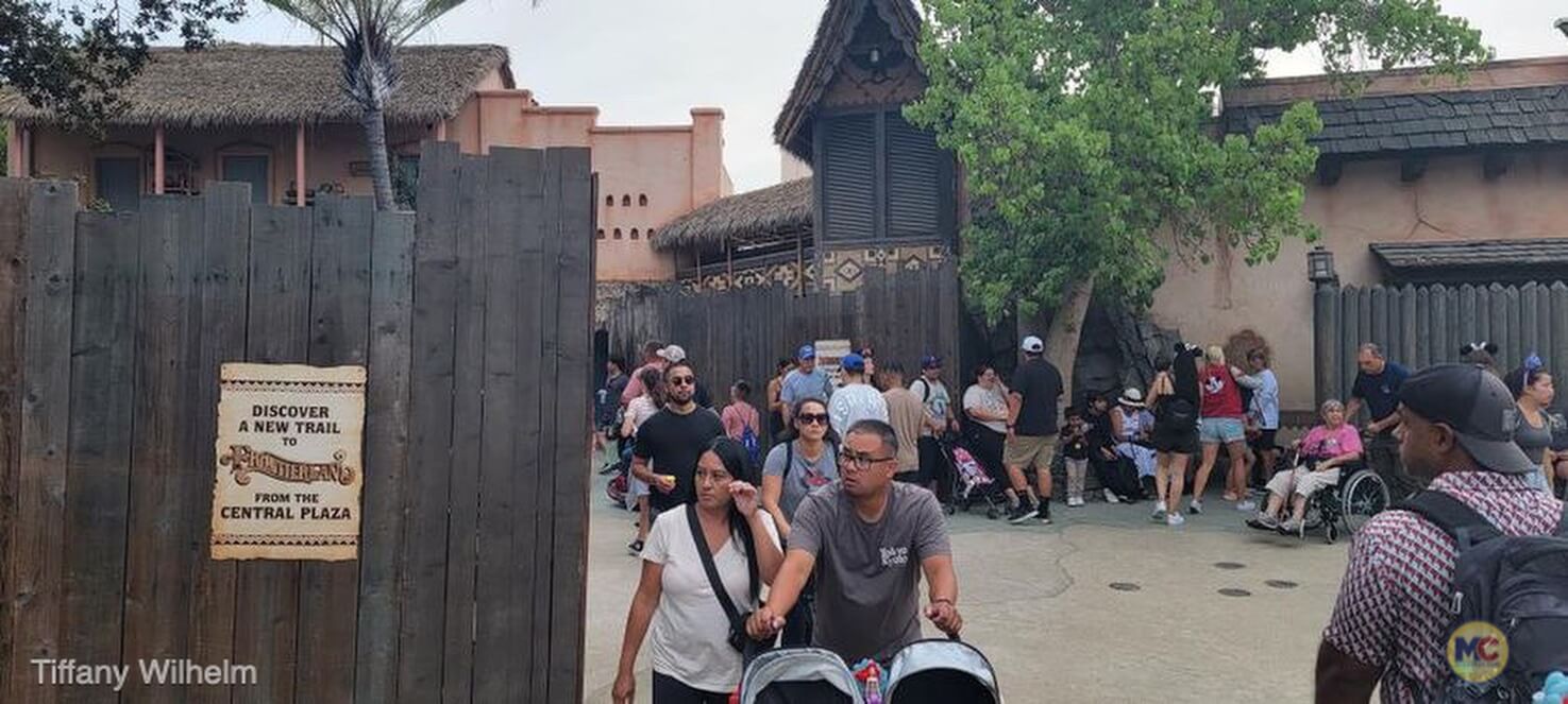 , Disneyland Update – Disneyland Takes a Bath & Halloween Screams!