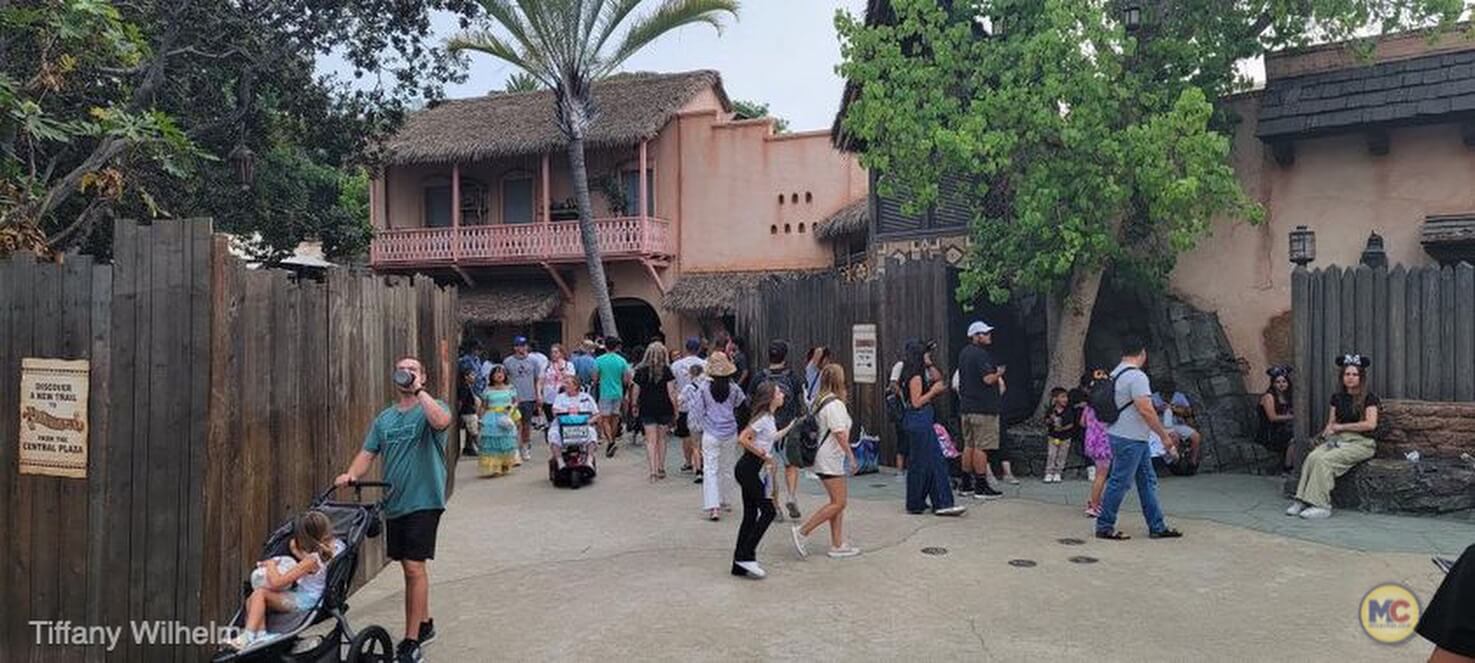 , Disneyland Update – Disneyland Takes a Bath & Halloween Screams!
