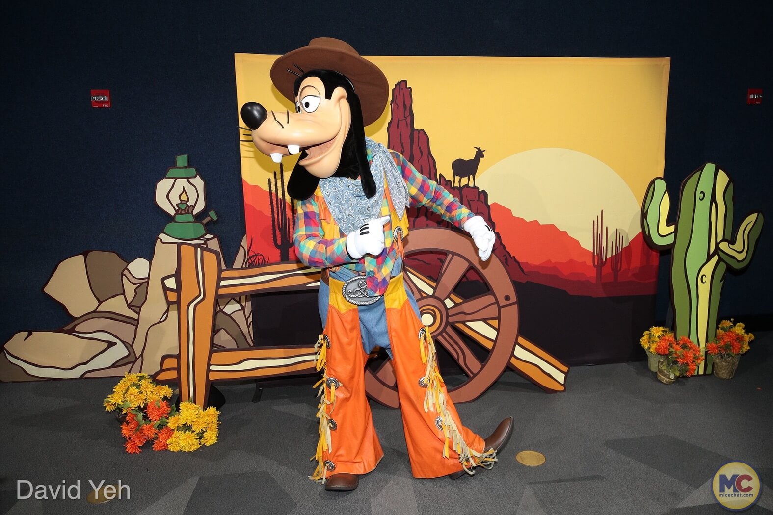 , Disneyland Update – Disneyland Takes a Bath & Halloween Screams!