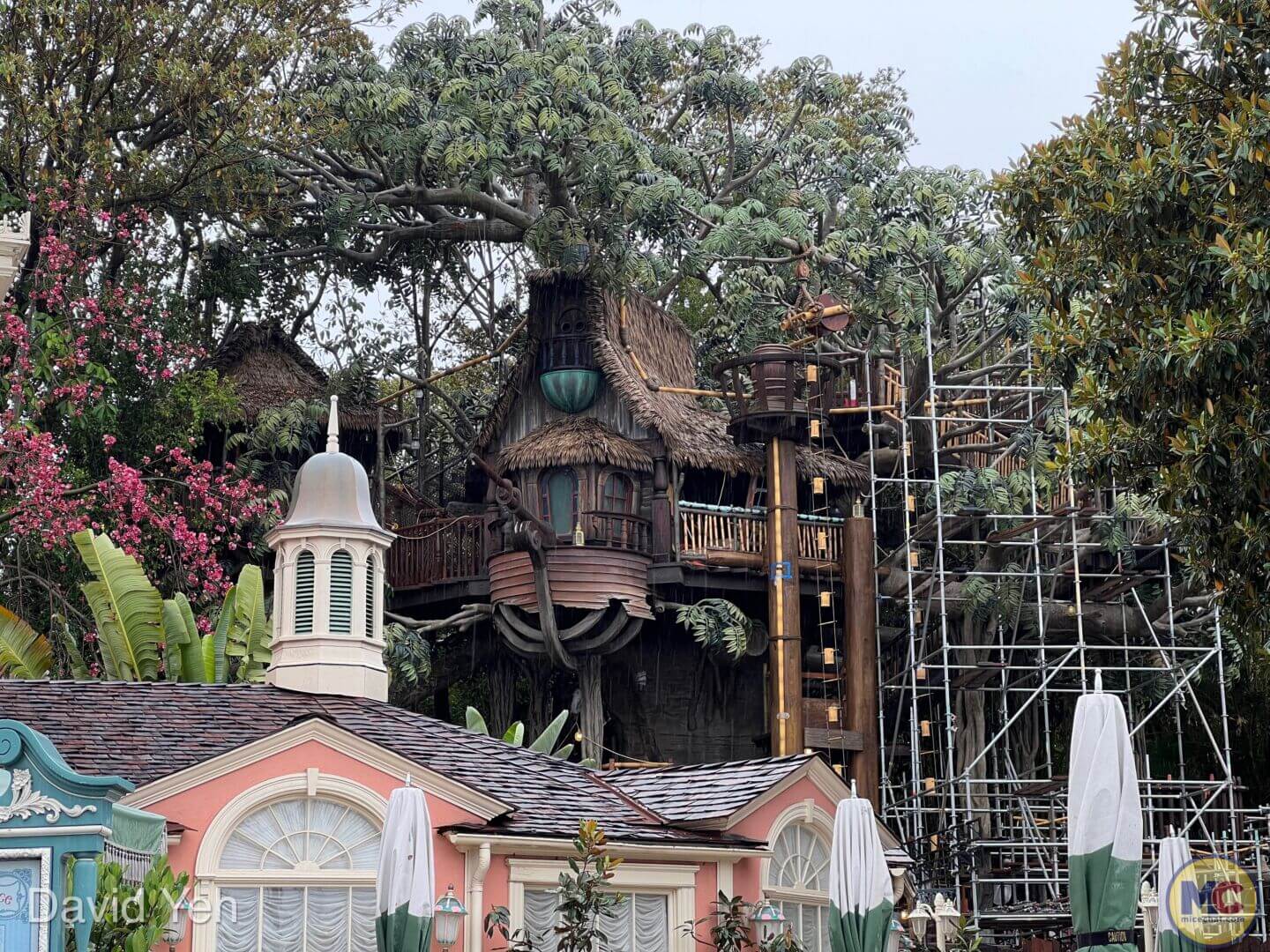 , Disneyland Update – Disneyland Takes a Bath & Halloween Screams!
