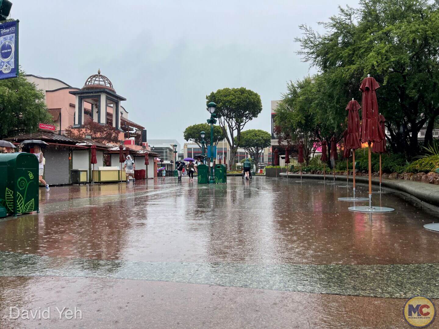 , Disneyland Update – Disneyland Takes a Bath & Halloween Screams!