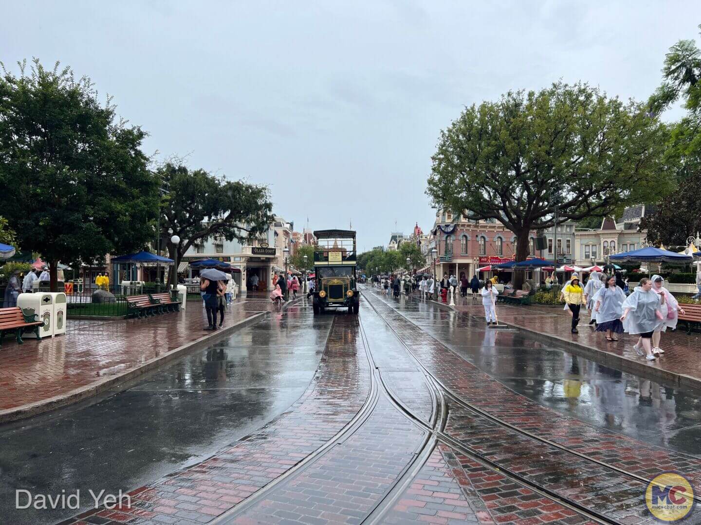, Disneyland Update – Disneyland Takes a Bath & Halloween Screams!