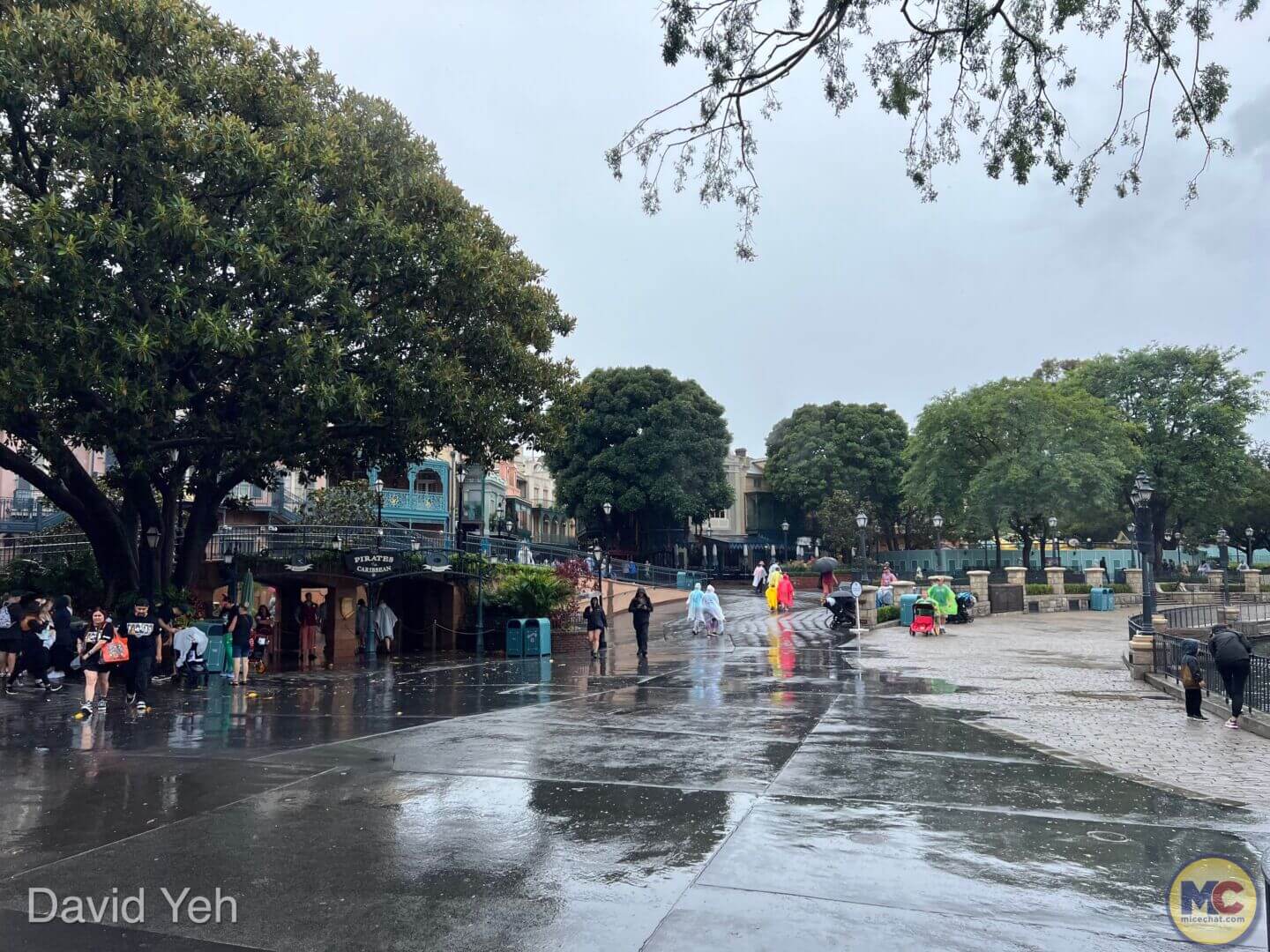 , Disneyland Update – Disneyland Takes a Bath & Halloween Screams!