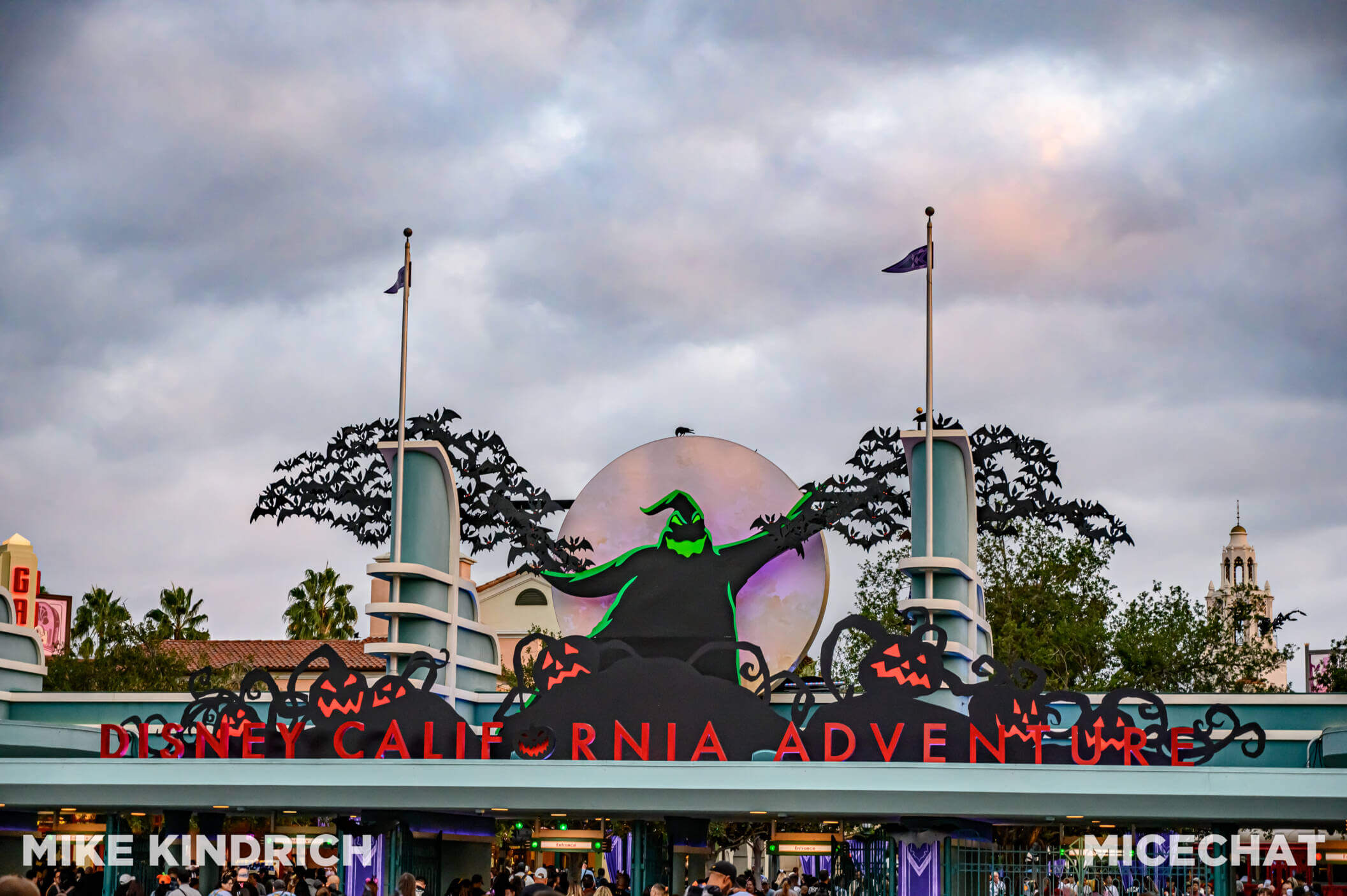 , Disneyland Update – So Much New & A Little Bit of BOO Too!