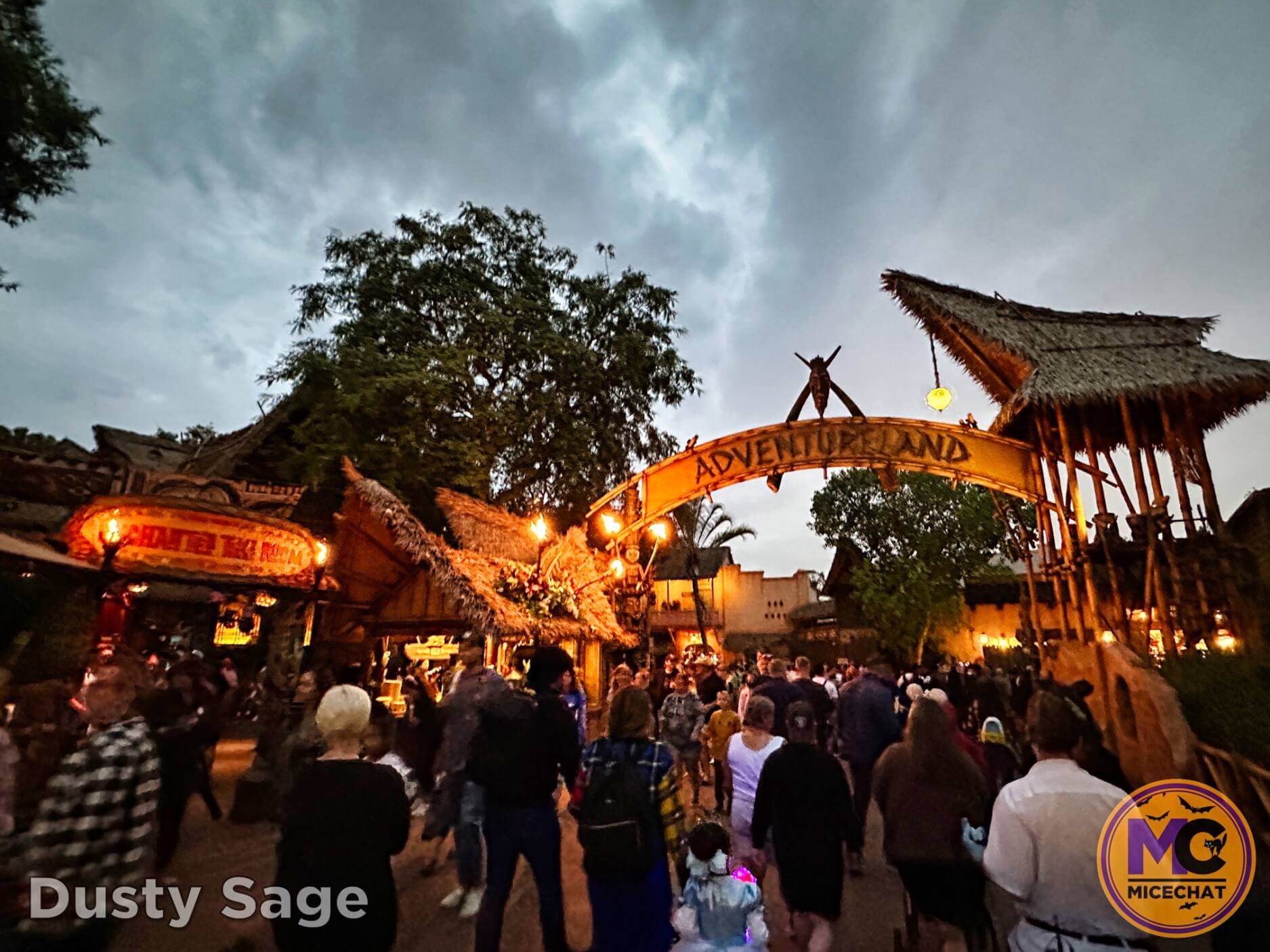 , Disneyland Update – Bring It On – OR – The Big Tease!
