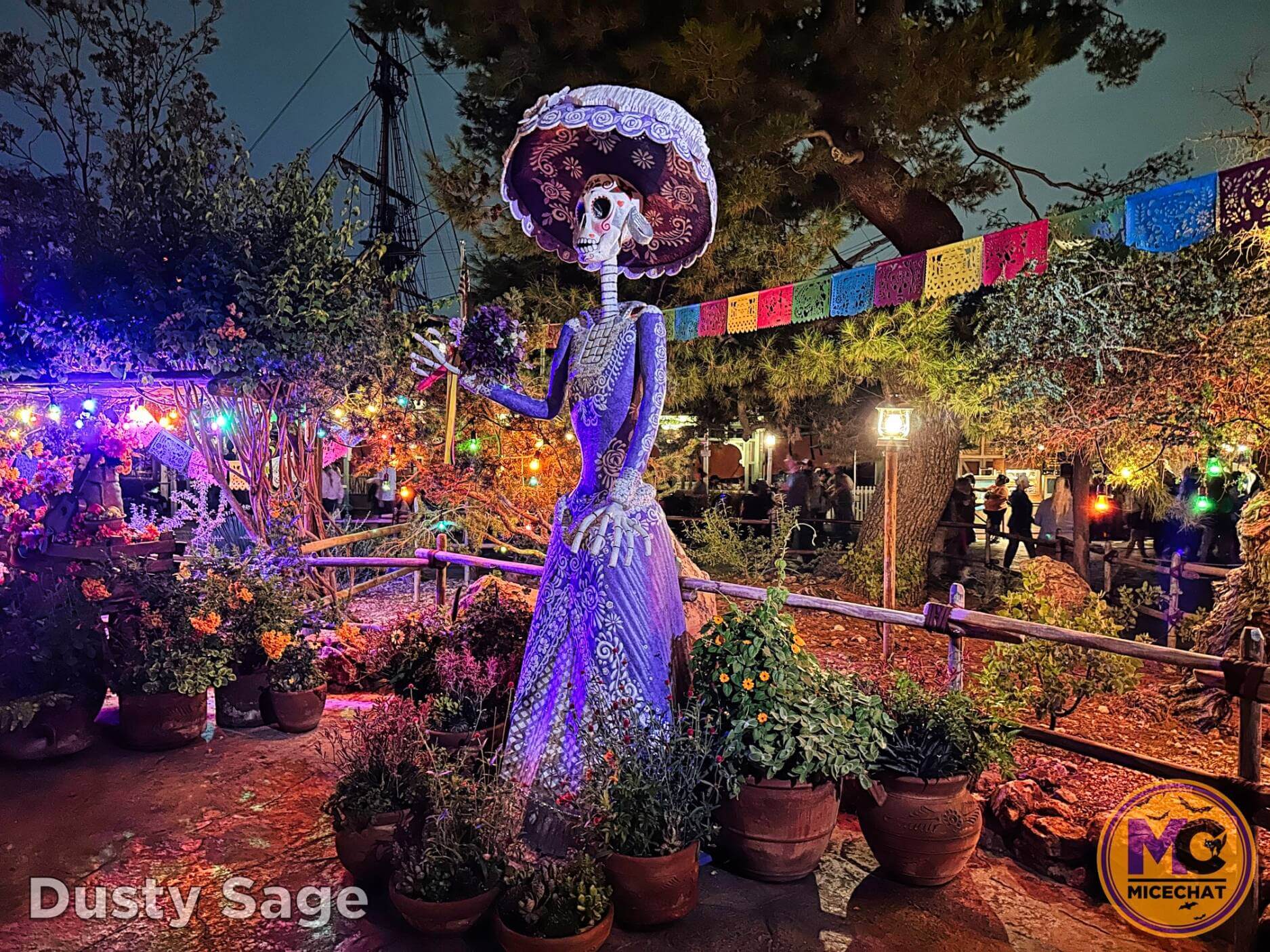 , Disneyland Update – Bring It On – OR – The Big Tease!