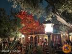 Disneyland News Beauty halloween tree 1 Frontierland MiceChat