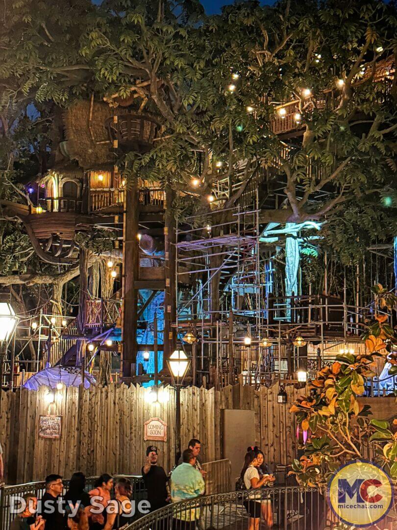 , Disneyland Update – Snubbed, Overlooked, & Sold Out!