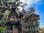 Disneyland News Construction Adventureland Treehouse 4 MiceChat